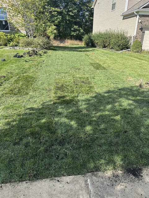 Finished lawn after restoration