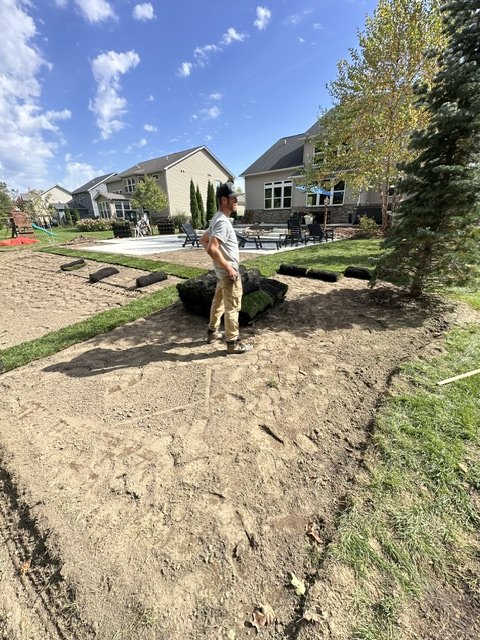 Bed prep & tree planting